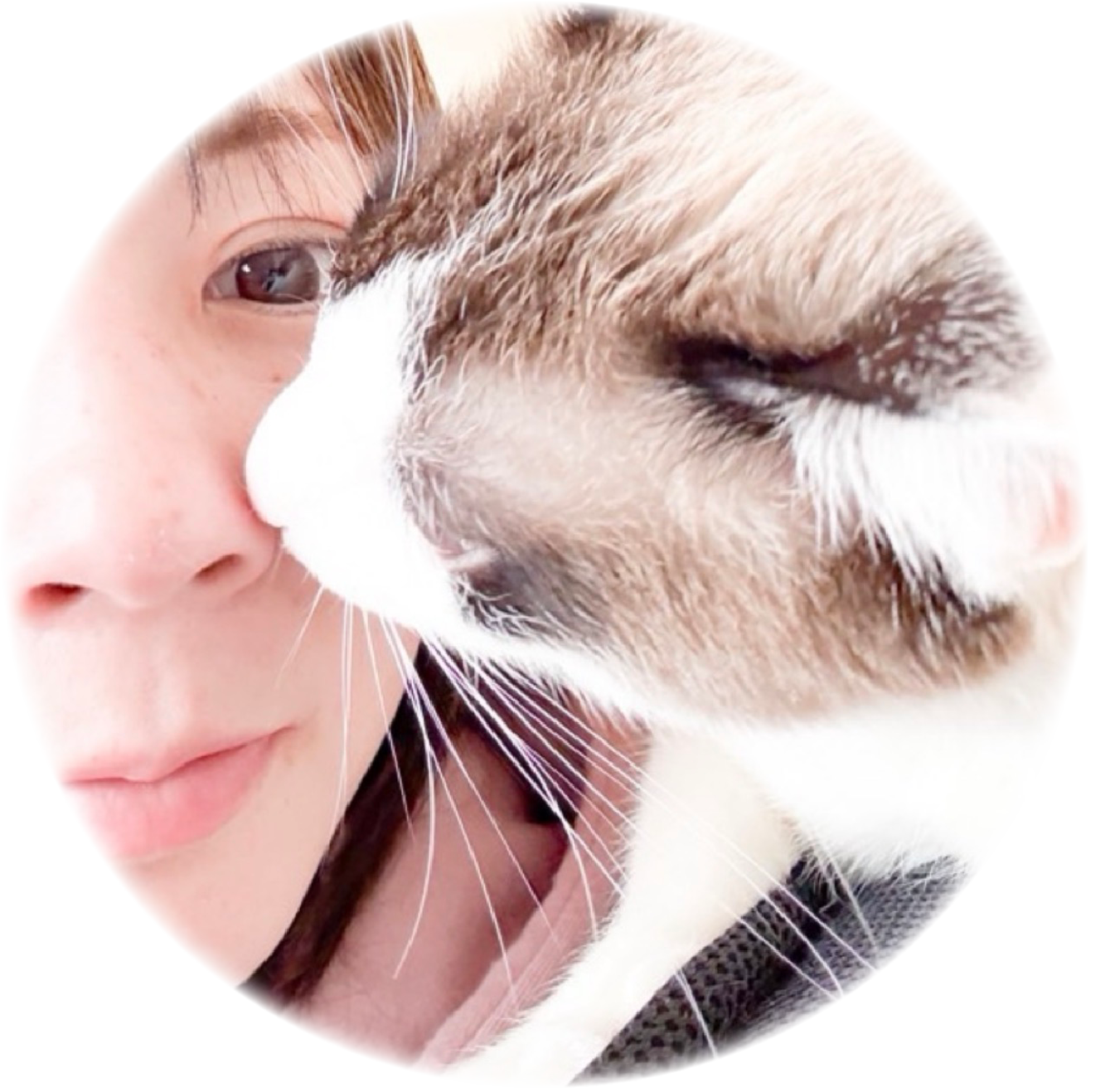 あゆみとねこの画像