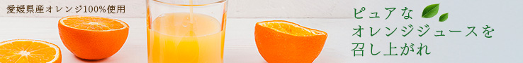 オレンジジュースのバナー